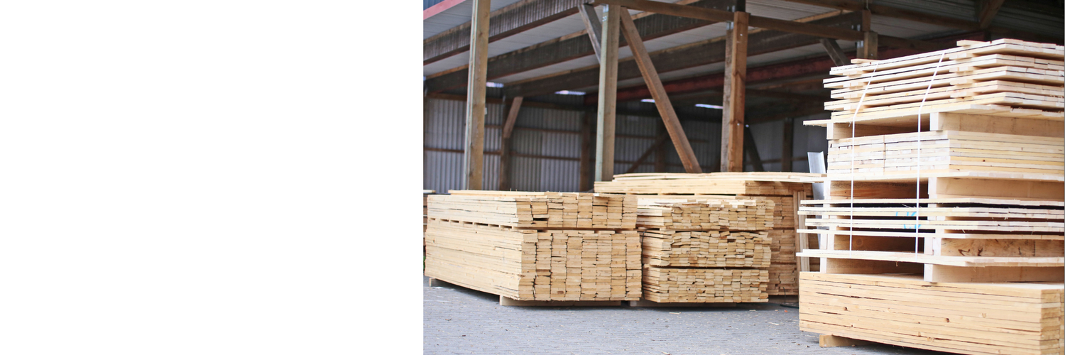 Bauholz_Bordeholm_Kiel_Hamburg