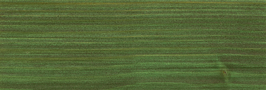 OSMO Holzschutz-Öl-Lasur: Grundierung und Lasur vereint - FREESE Holz