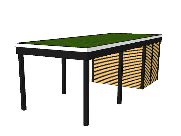 Modernes Gründach-Carport KLARE LINIE mit Abstellraum (Einzelcarport) - FREESE Holz