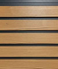 Blackline Fassadenprofil Fichte geölt mit schwarzer Feder L=4,20 m