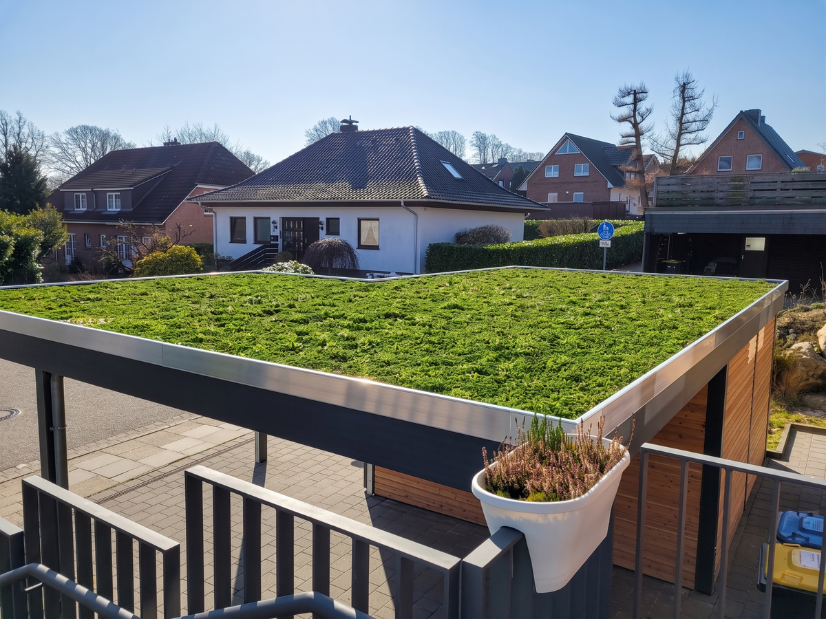 Moderner Carport Klare Linie mit Gründach
