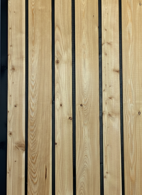 Blackline Fassadenprofil Lärche - Vertikalprofil mit Nut und schwarzer Feder 2,44m