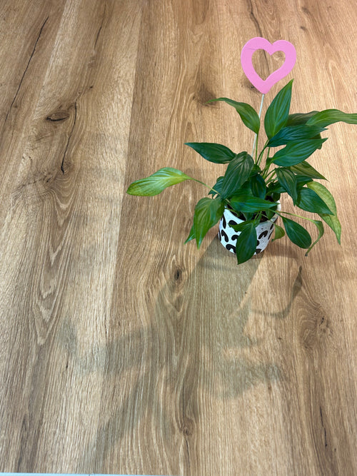 Aktions-Vinylfußboden Bordesholm