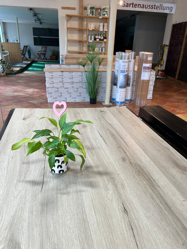 Aktion-Vinylfußboden Wattenbek