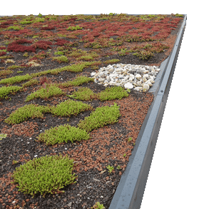 Gartenschrank mit Gründach - Modern, massiv, maßgefertigt von FREESE Holz