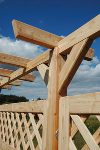 JODA Pergola Standard - FREESE Holz 