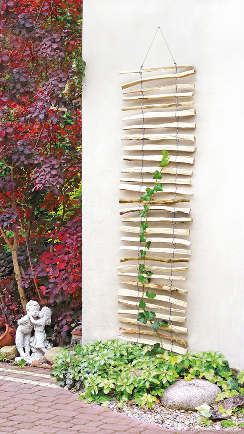 JODA Haselnuss-Rankhilfe Rustik