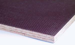 Filmbeschichtete Sperrholzplatten, Siebdruckplatten Birke - FREESE Holz 